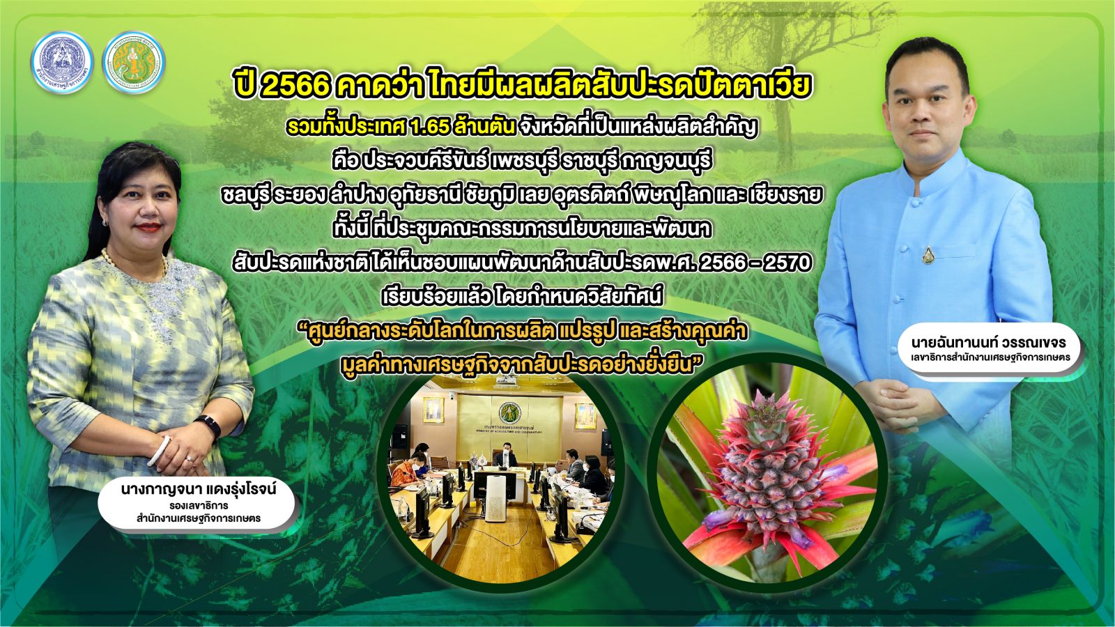 สับปะรดปัตตาเวียไทย ปีนี้ให้ผลผลิต 1.65 ล้านตัน ด้านคณะกรรมการนโยบายและพัฒนาสับปะรดแห่งชาติ ไฟเขียว แผนพัฒนาด้านสับปะรด 5 ปี ผลักดันสู่ศูนย์กลางระดับโลก